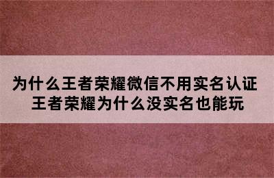 为什么王者荣耀微信不用实名认证 王者荣耀为什么没实名也能玩